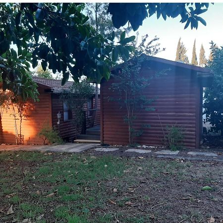 A Fun Holiday In The Galilee Sede Eli'ezer Εξωτερικό φωτογραφία