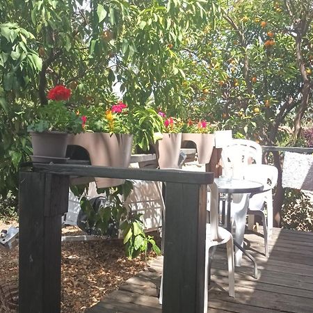 A Fun Holiday In The Galilee Sede Eli'ezer Εξωτερικό φωτογραφία